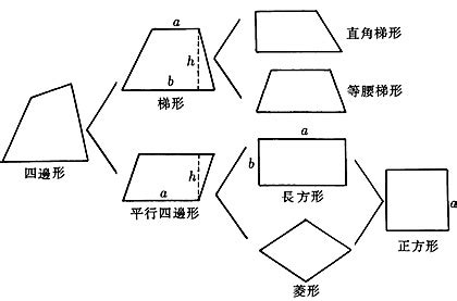 不規則梯形面積公式|奧林匹克數學教材庫第三冊內容